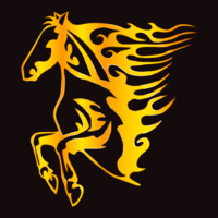 HEART HORSE ATTIRE Thumbnail